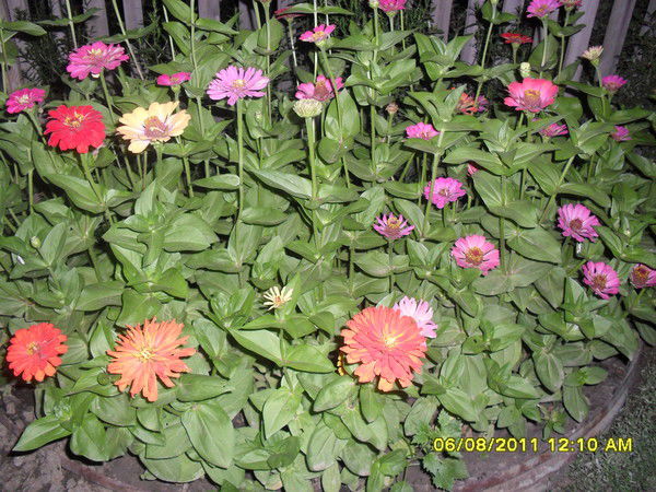 Ришат Латипов