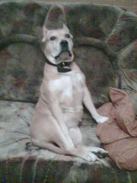 Марина Чечерина