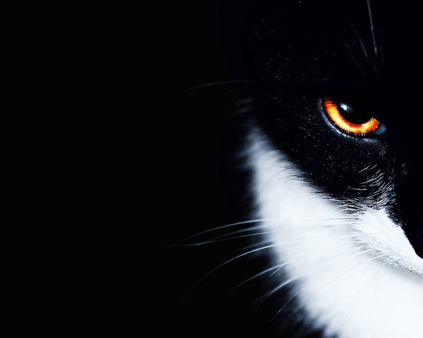 Юридическая Служба