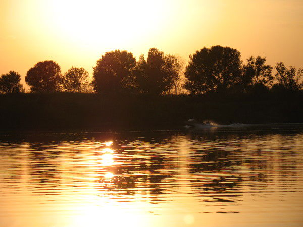 Татьяна Проценко