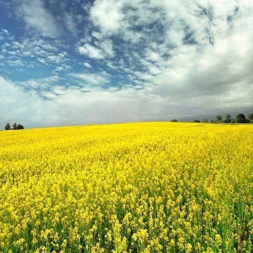 Константин *******