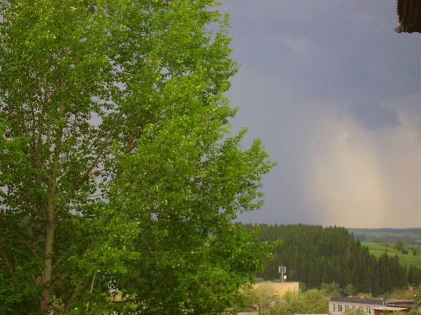 Татьяна Некрасова