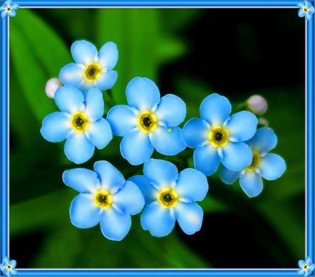 Наталья Чубатая