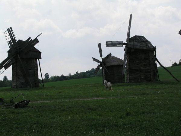 Неизвестно Неизвестно