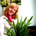 Елена Кулинкович