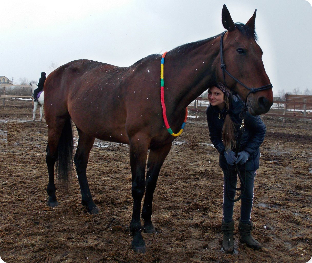 Поля Шуревская
