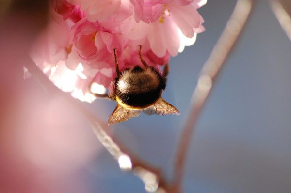 Светлана Яркина