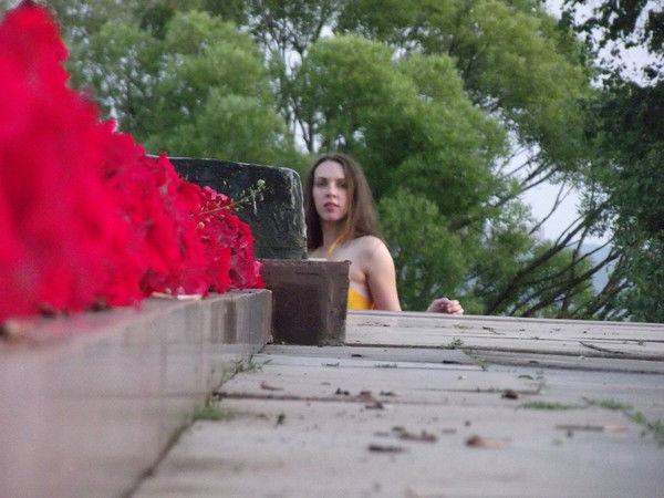 Анна Царёва