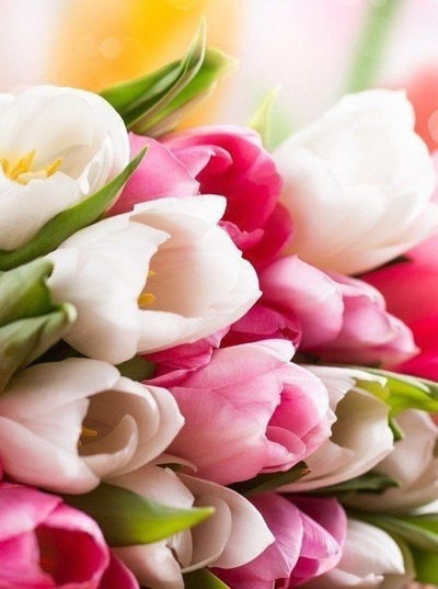 Акмарал Бауыржановна