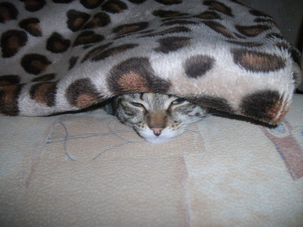 Ирина Курилко