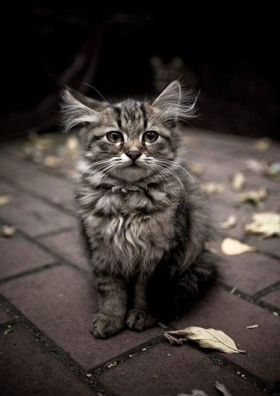 Ольга Черноусова