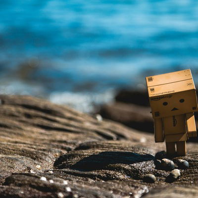 Илья Тимофеев