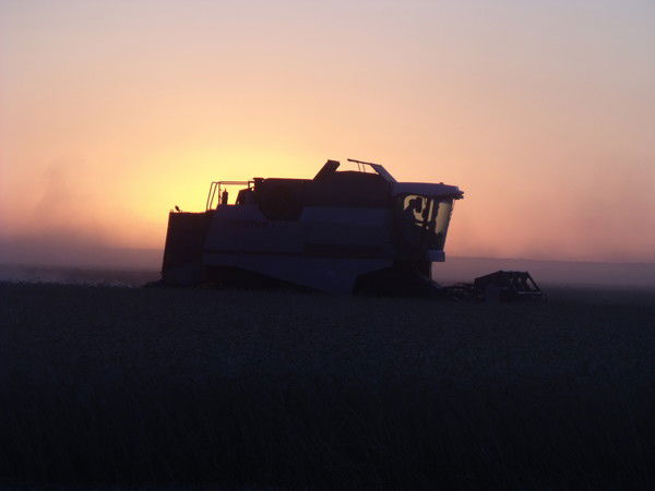Александр Бутенко