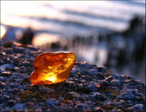 Морио Файер