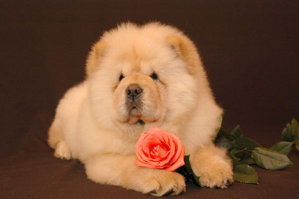 Зоя Ланцовская