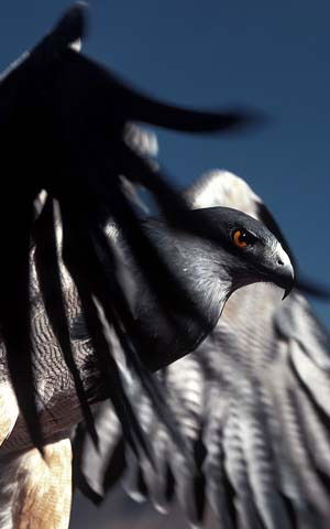 Александр Суханов