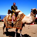 Александр Албут