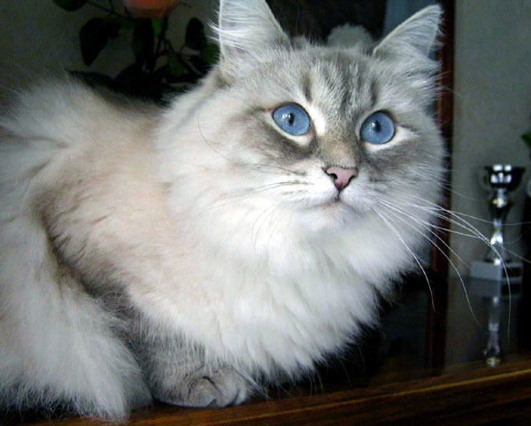 Карина Савицкая