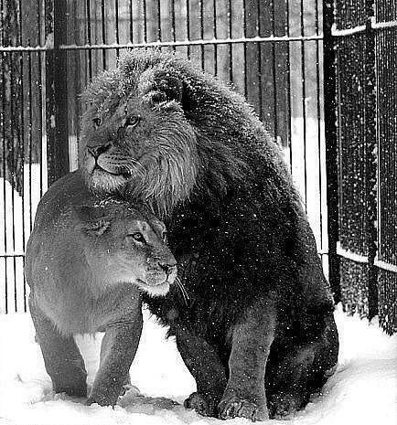 Гулноза Байметова