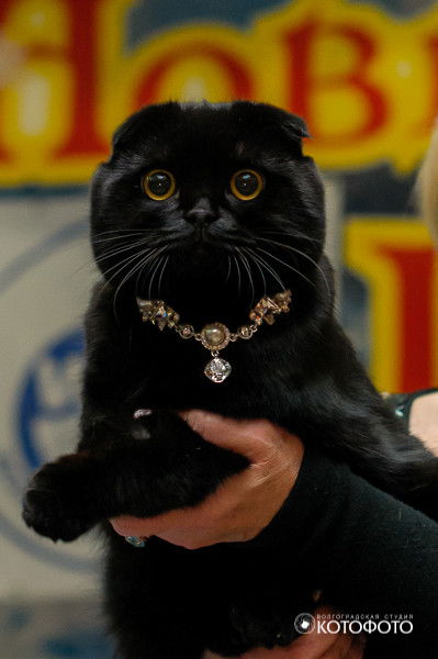 Ольга Space Doll