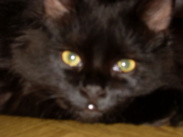 Наталья Лебедева