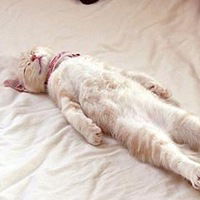 Виктор Буслаев