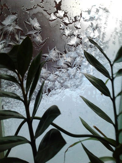 Любовь Зимина