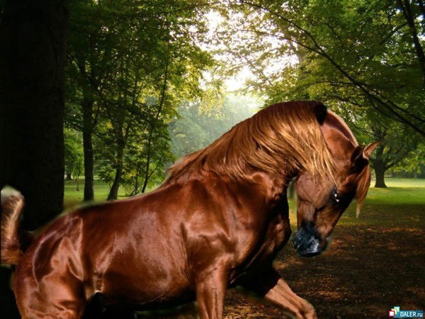 Andranik Karine Manukyan