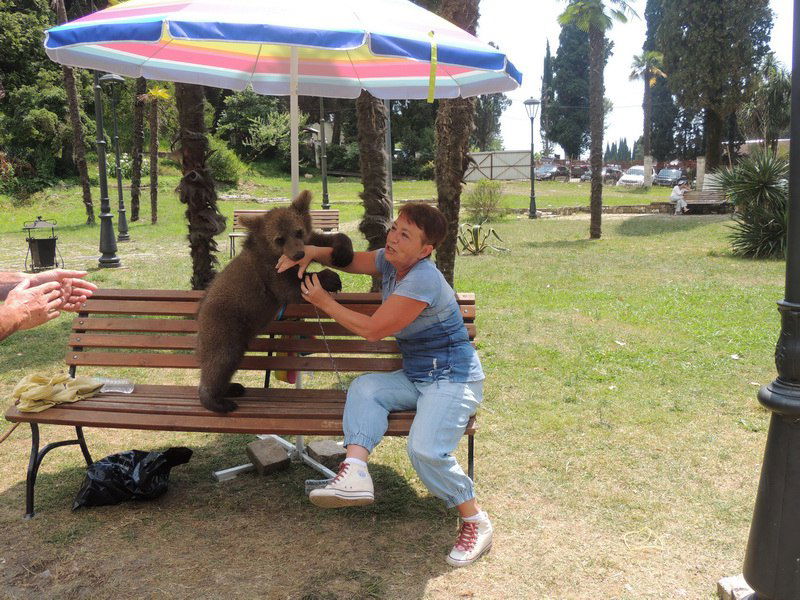 Ирина Прянишникова