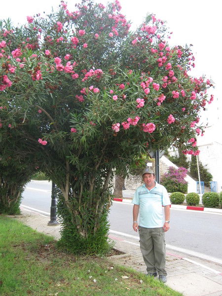 Игорь Бовкун