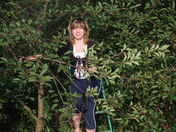 Светлана Преображенская