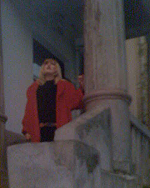 Незабудка Ru