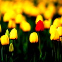 Ельтайская Средняя Школа