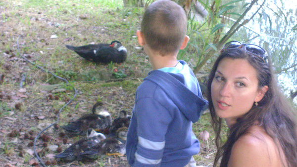 Дмитрий Попов