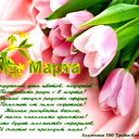 Master Master