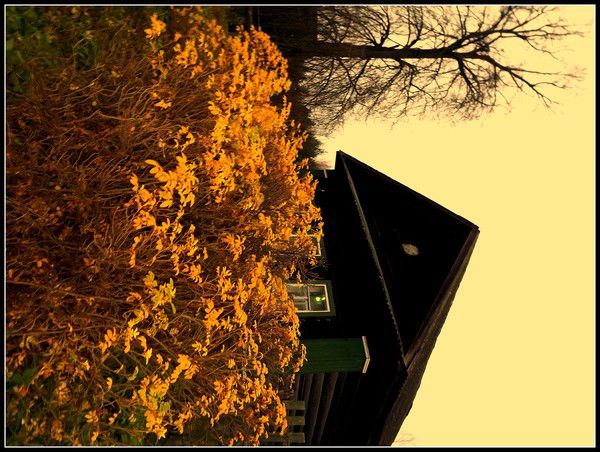 Наташа Кузнецова