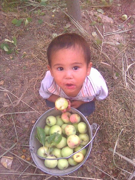Ержан Баймагамбетов