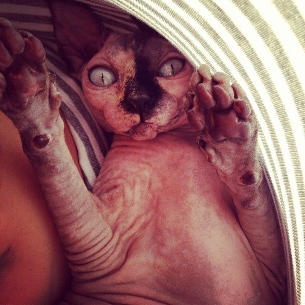 Яна Виноградова