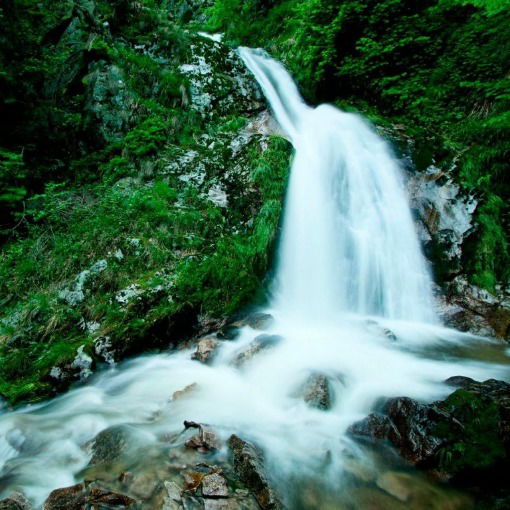 Учителя Школы