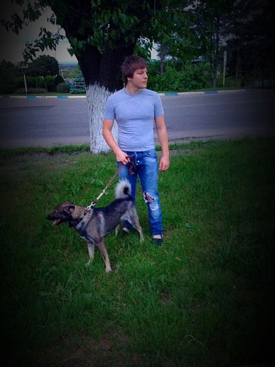 Макс Яндекс