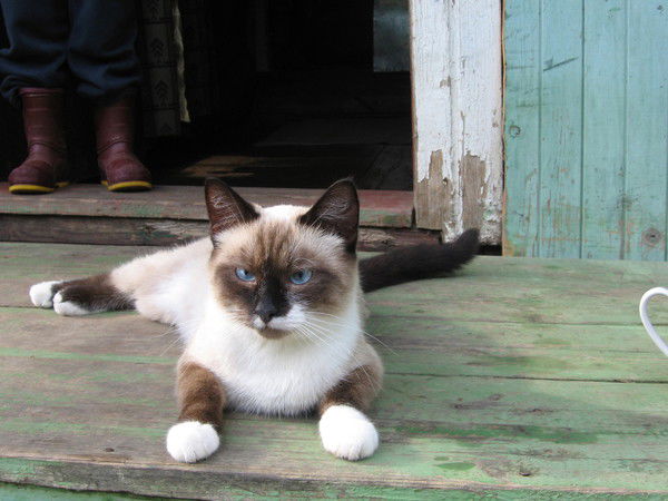 Любовь Короткова