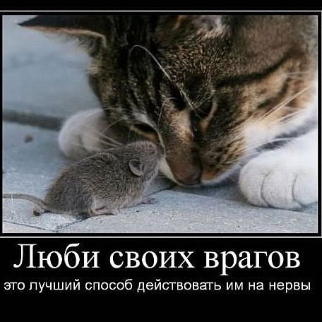 Анжелика Букина