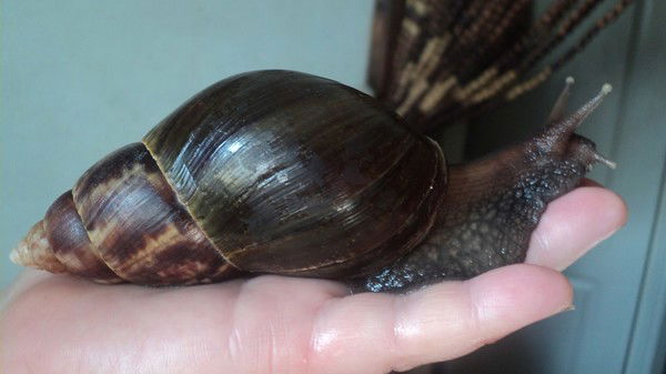 Саша Сашина