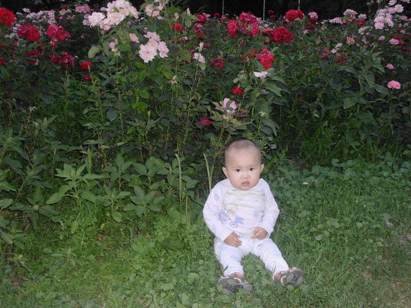 Салтанат Куппанова