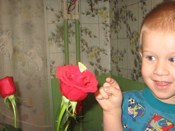 Наташа Николаева