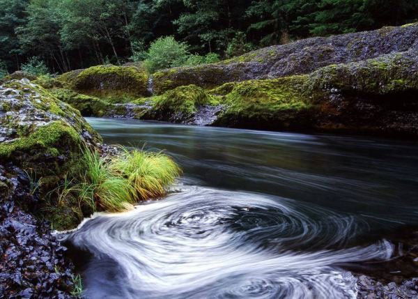 Дефектологи, Набор 2010