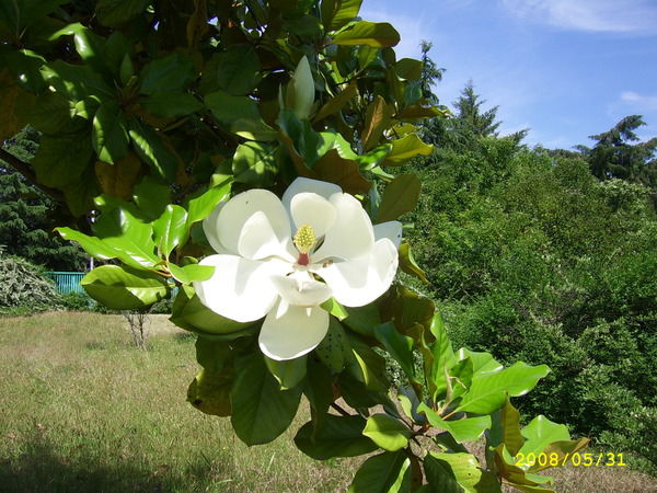 Наталья Шутикова