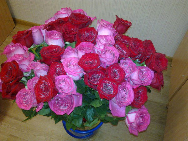 Роо Советский