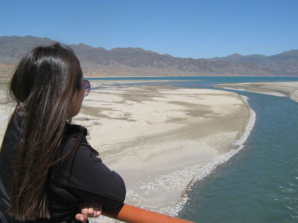 Эльвира Токбердиева