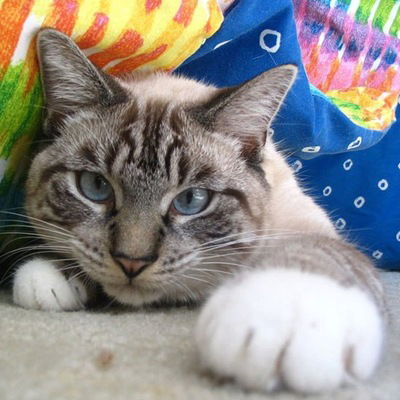 Женя Козлов